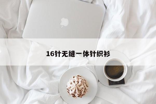 16针无缝一体针织衫